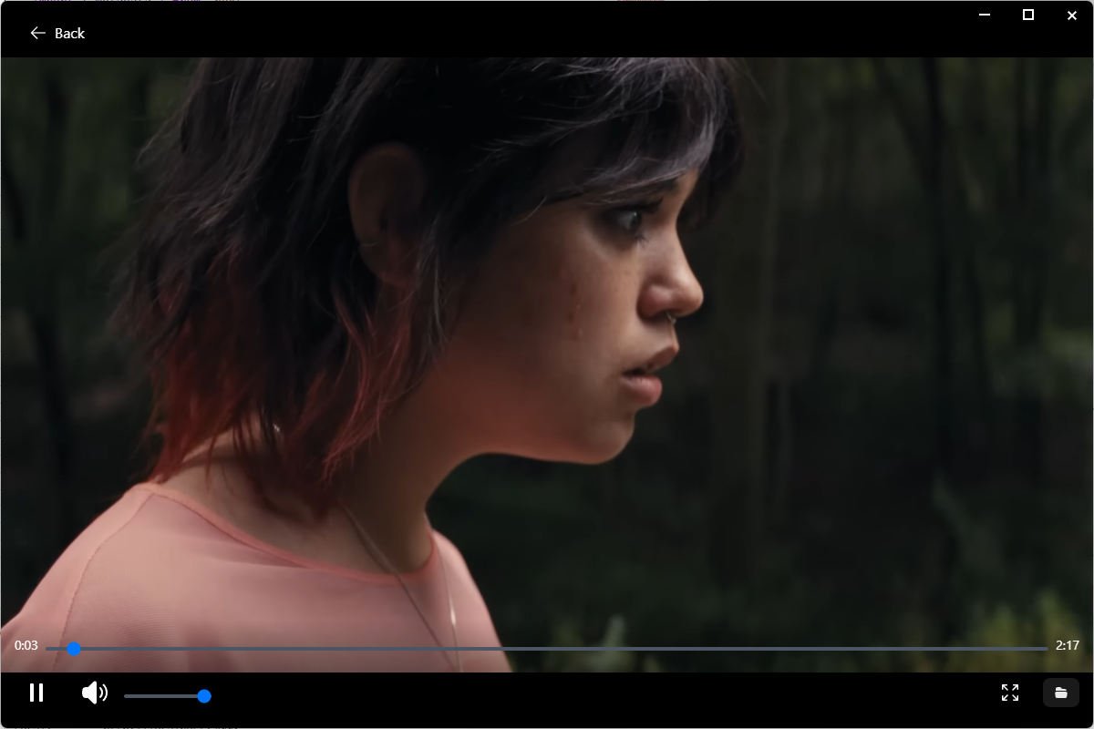 BigSur Player Features